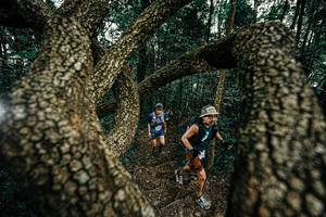 BIB: 
                            <button type="button" onclick="openModal(25393051)" class="btn btn-primary btn-sm float-right btn-popup" data-toggle="modal" data-target=".modal-high-quality">
                        <i class="fas fa-shopping-cart"></i> Add to Cart
                    </button>
                                            <button type="button" onclick="isThisMe(25393051, true)" class="btn btn-success btn-sm float-right btn-popup btn-isme hidden" data-toggle="tooltip" data-placement="bottom" title="นี่คือรูปของคุณใช่ไหม คลิกที่นี่เพื่อเอาเข้าอัลบั้ม">
                        <i class="fas fa-plus"></i> Add to album
                    </button>
                    <button type="button" onclick="isThisMe(25393051, false)" class="btn btn-warning btn-sm float-right btn-popup btn-isnotme hidden">
                        <i class="fas fa-ban"></i> Remove from album
                    </button>